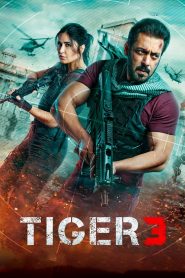 Tiger 3 Movie Download