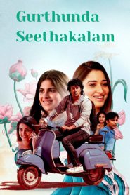 Gurtunda Seetakalam Movie Download